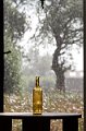 Bottle and rain